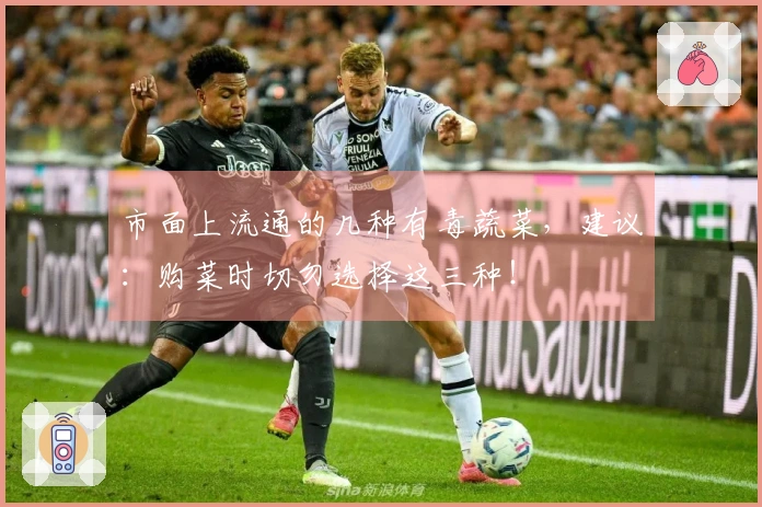 市面上流通的几种有毒蔬菜，建议：购菜时切勿选择这三种！