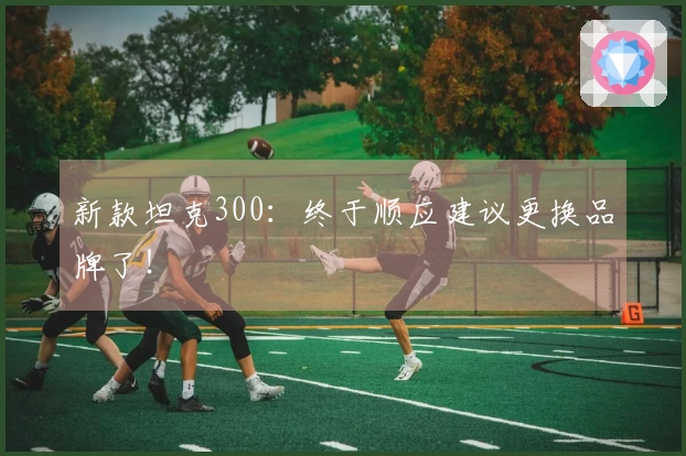 新款坦克300：终于顺应建议更换品牌了！