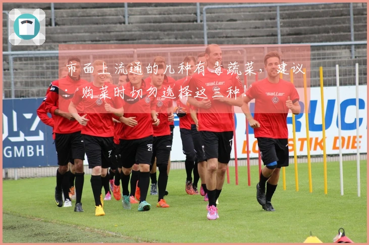 市面上流通的几种有毒蔬菜，建议：购菜时切勿选择这三种！